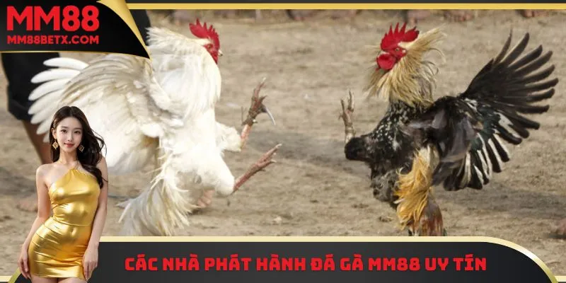 Các nhà phát hành đá gà MM88 uy tín 